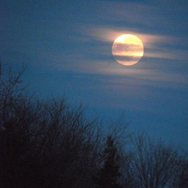 Evening Photograph - Winter Moon by Lisa Worrell