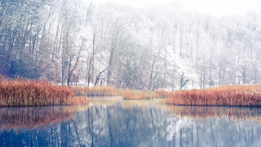 Winter Morning, Wohrsee Photograph by Alexander Kunz