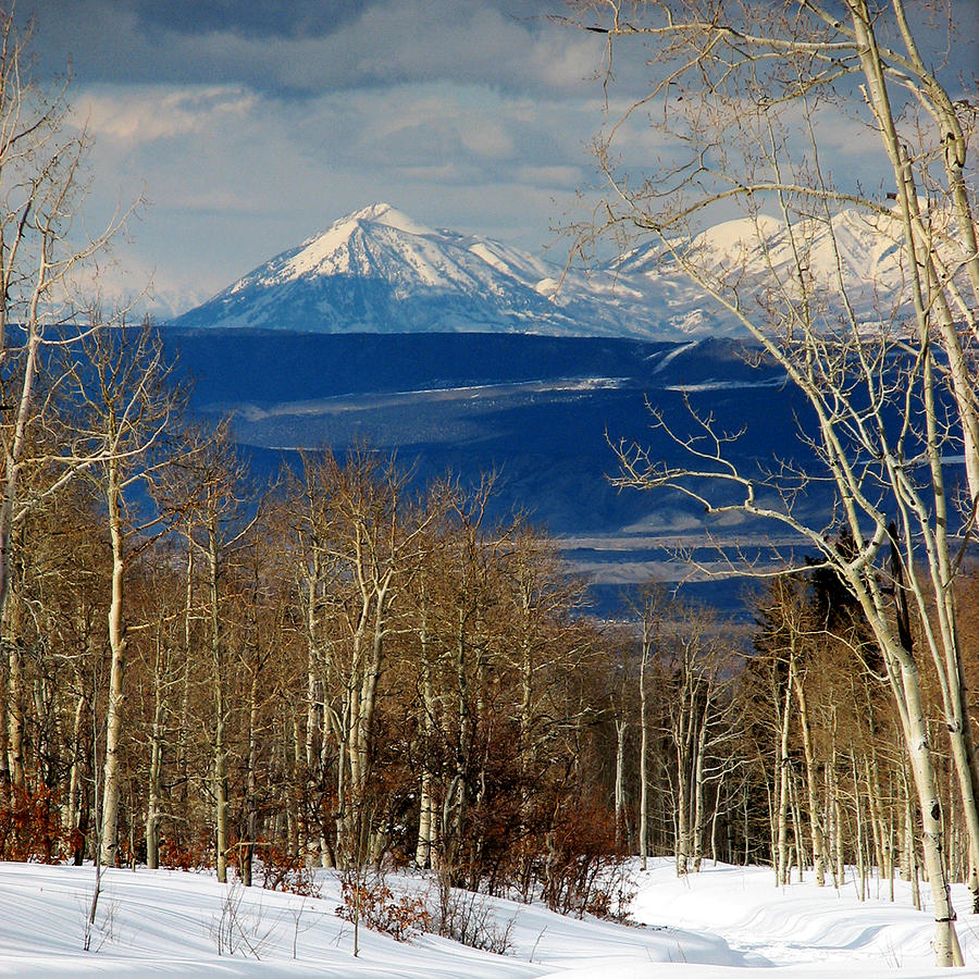 Winter Mountainview Photograph by Rick Wicker