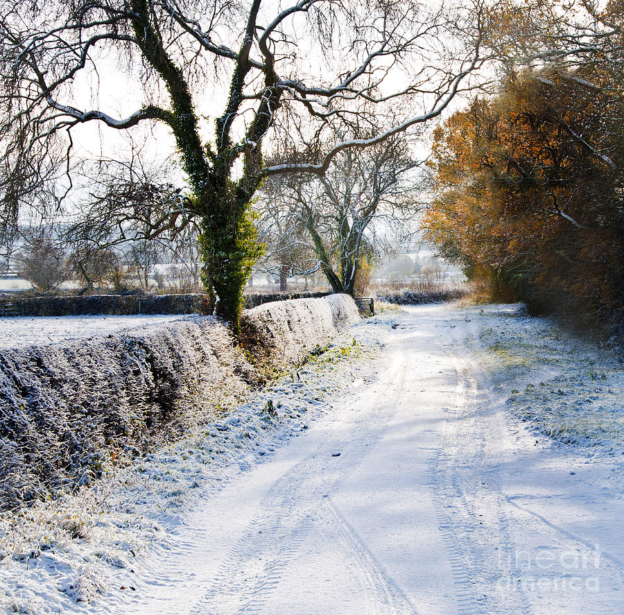 Winter on a Country Lane Photograph by Sheila Laurens