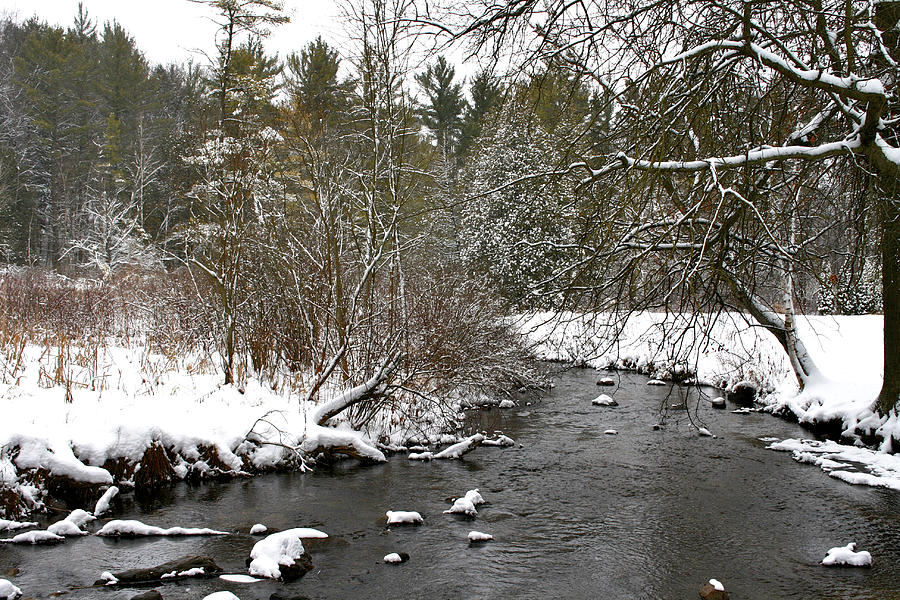Winter on Bear Creek Photograph by Richard Gregurich