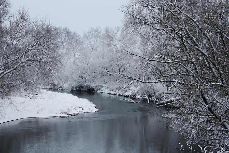 Winter on Elkorn Creek Photograph by Bruce Bley