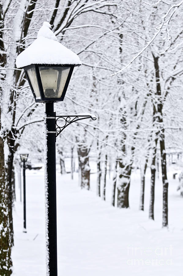 Winter Photograph - Winter park 9 by Elena Elisseeva