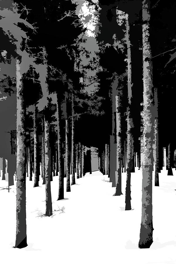 Winter Path Photograph by Burney Lieberman