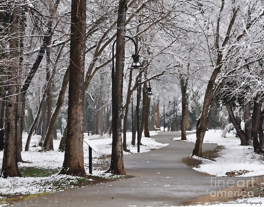 Winter Path Photograph by Susan Cliett