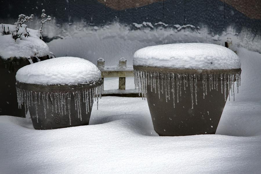 Winter pots Photograph by Sergey  Nassyrov