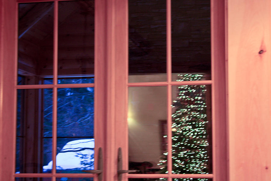 Winter Reflections  Photograph by Ann Murphy