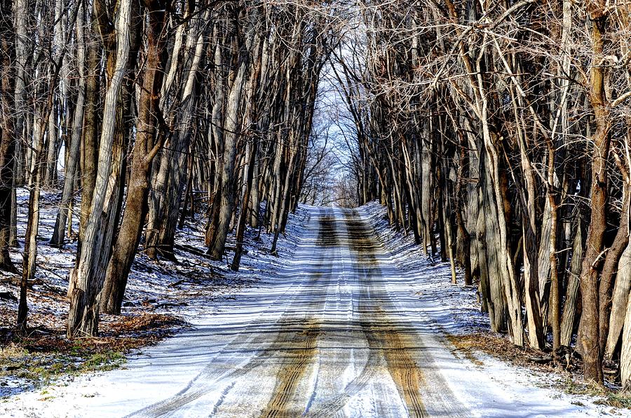 Winter Road Photograph by Rodney Campbell