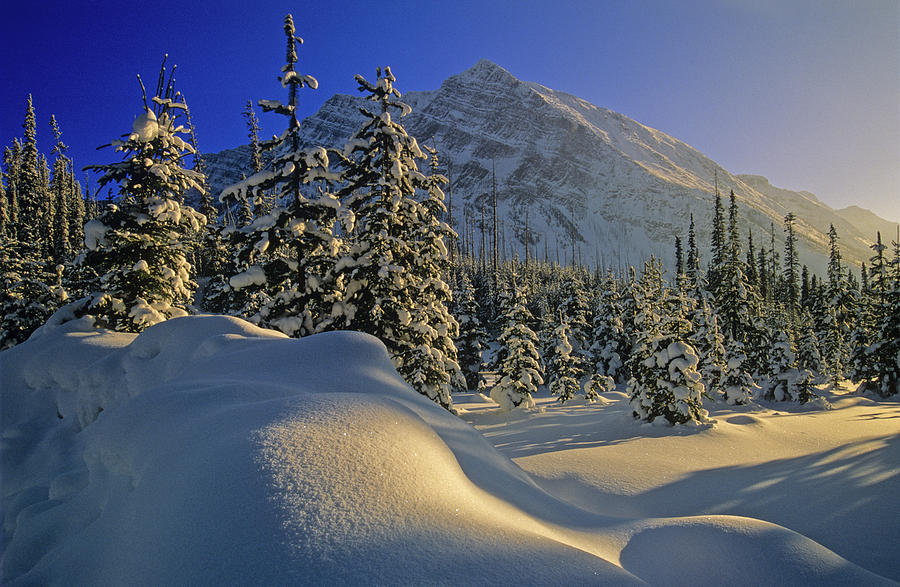 Winter Scene, Boom Lake, Banff National Photograph by Mike Grandmailson ...