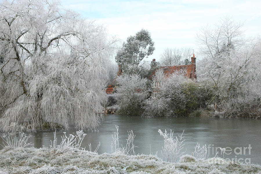Winter Scene In Surrey, England Photograph by Mark Taylor