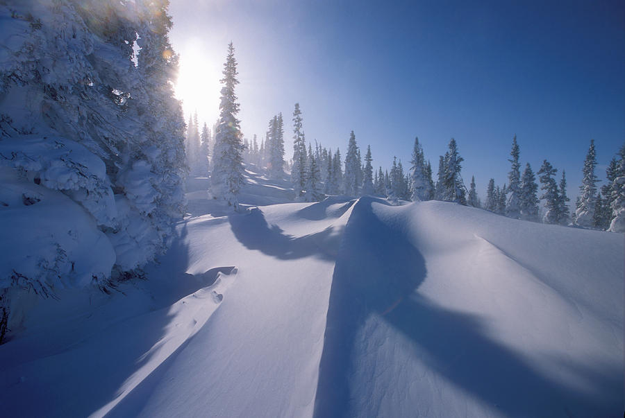 Winter Scene, Labrador, Newfoundland Photograph by Jerry Kobalenko