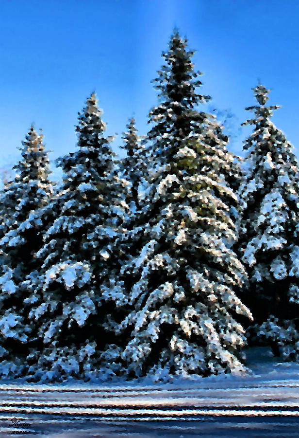 Tree Photograph - Winter Sentinels by Kristin Elmquist