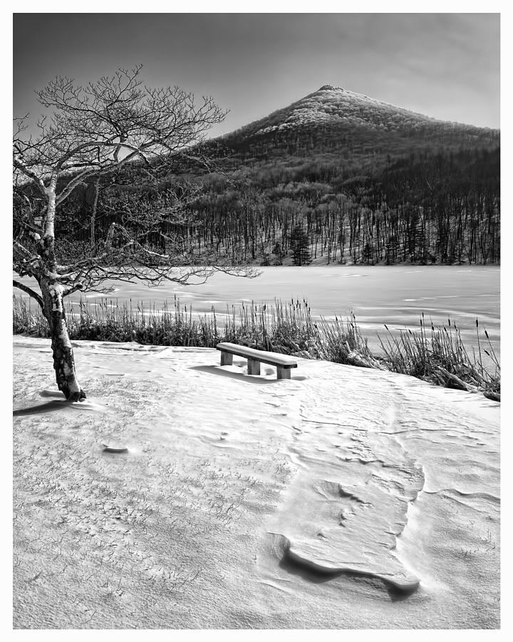 Mountain Photograph - Winter Solitude - Virginia by Steve Hurt