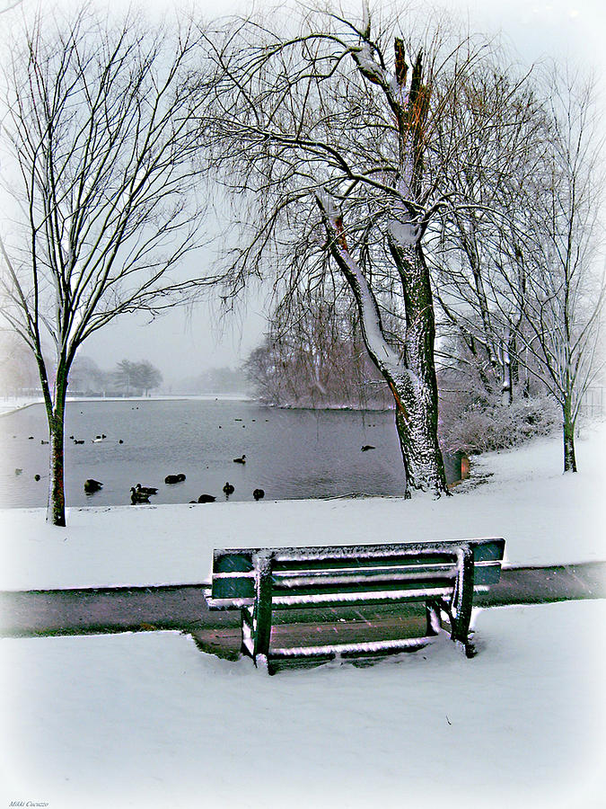 Winter solitude Photograph by Mikki Cucuzzo