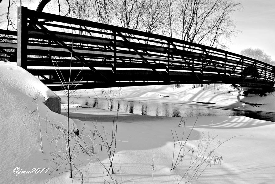 Winter Photograph - Winter Splendor in B and W by Janice Adomeit