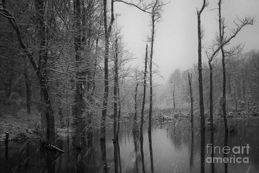 Winter Storm Photograph by David Waldrop