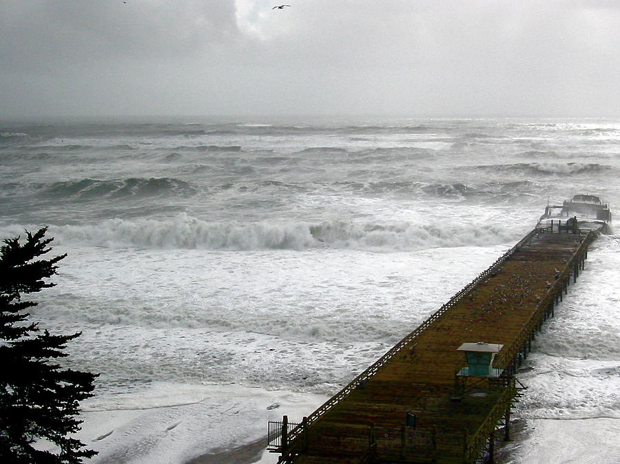 Winter Storm Seacliff Photograph by Amelia Racca