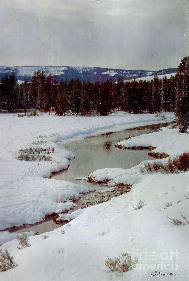 Winter Stream Photograph by Bob Senesac