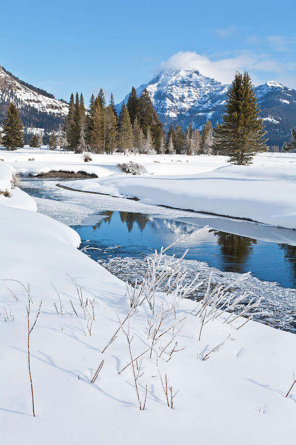 Winter Stream Photograph by D Robert Franz