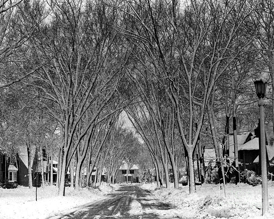 Winter Street Rustic Photograph