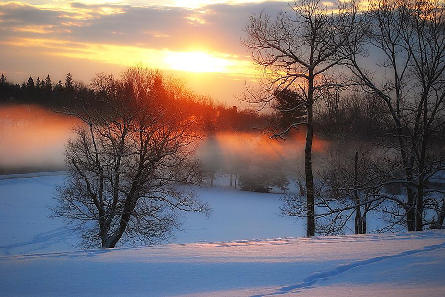 Winter Photograph - Winter Sunrise by Catherine Cirone