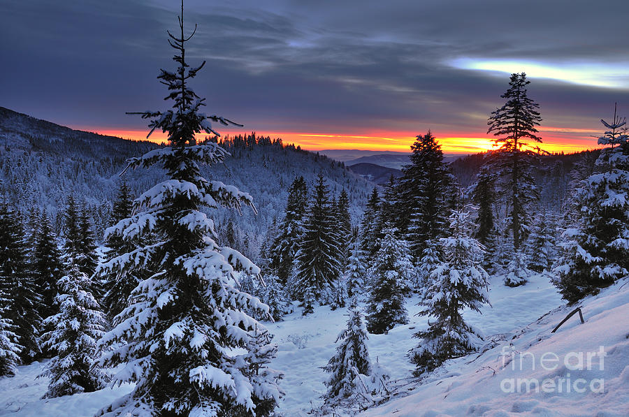 Sunset Photograph - Winter sunset by Ionut Hrenciuc