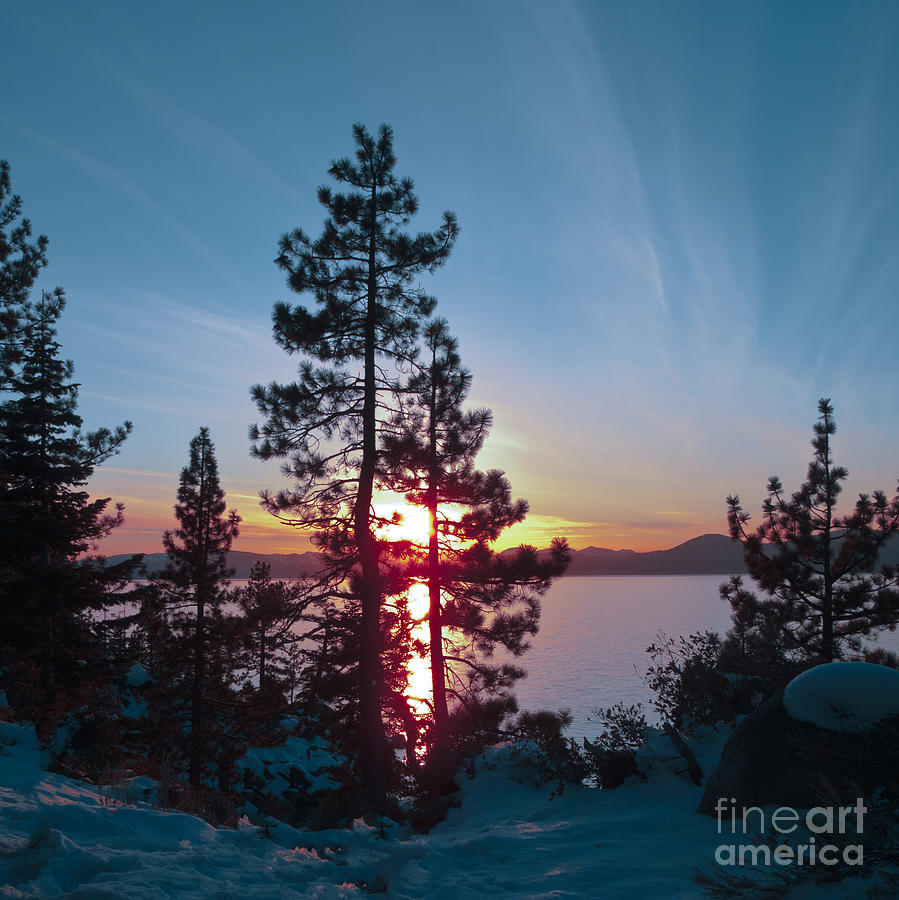 Winter Sunset  Photograph by L J Oakes