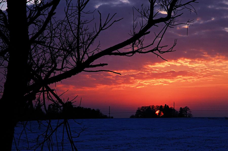 Nature Photograph - Winter Sunset on the Farm by Larry Ricker