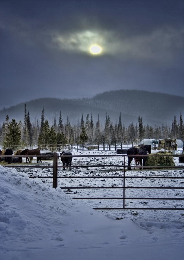 Winter Sunset on the Ranch Photograph by Ellen Heaverlo