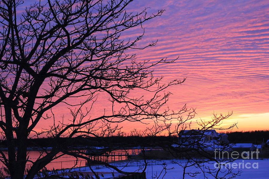 Winter Sunset Photograph - Winter Sunset by Scenesational Photos