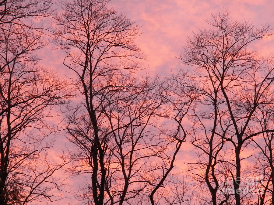 Winter Sunset Sky Photograph by Judy Via-Wolff
