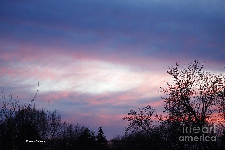 Winter Sunset Photograph by Yumi Johnson