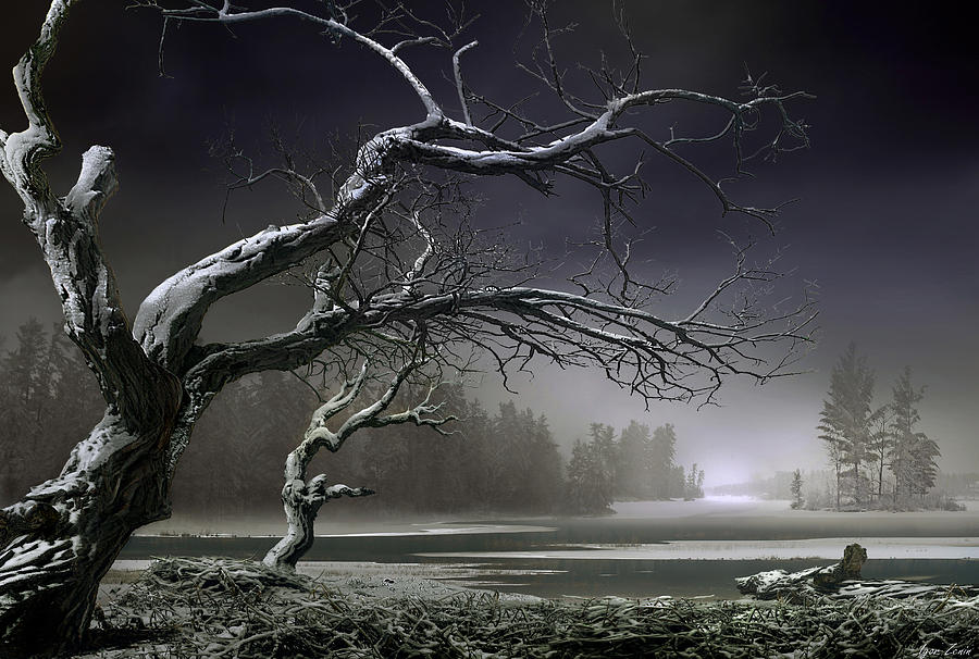 Trees Photograph - Winter Thaw by Igor Zenin Trees Photograph - Winter Thaw by Igor Zenin