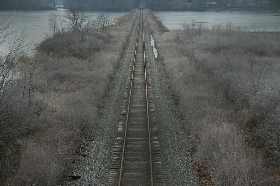 Winter Tracks  Photograph by Neal Eslinger