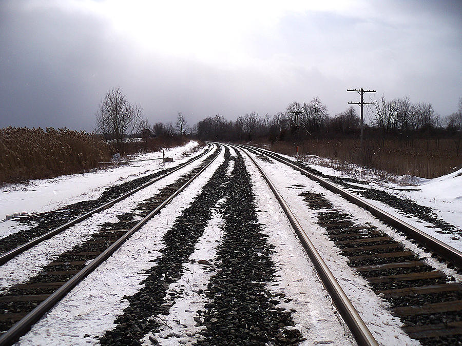 Winter Tracks1 Photograph by Corinne Elizabeth Cowherd