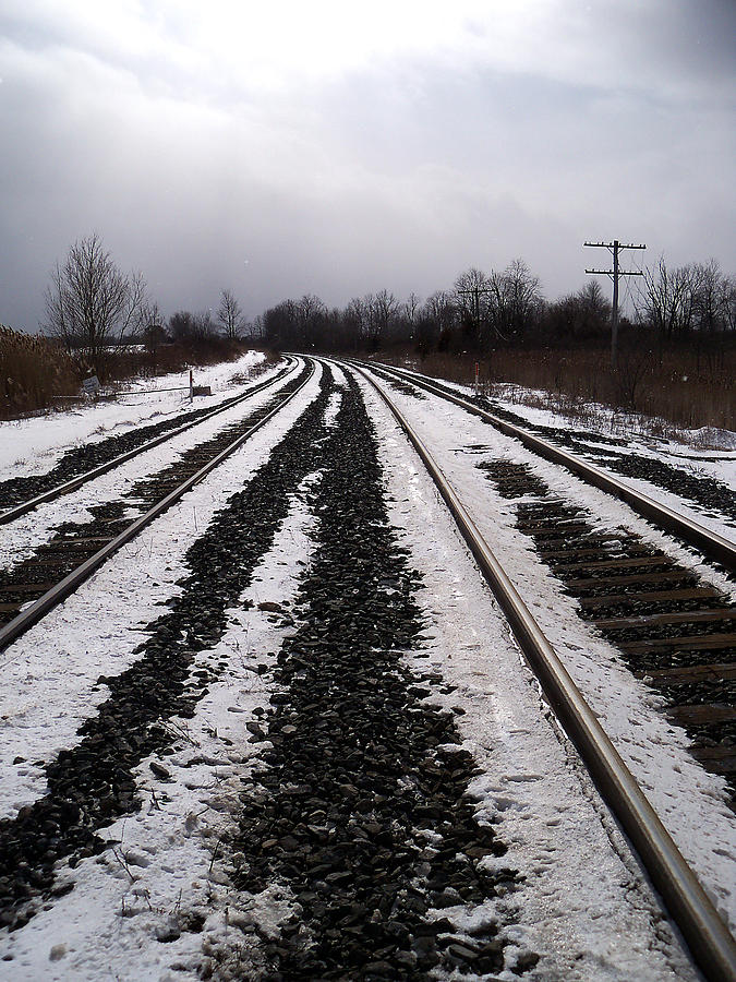 Winter Tracks2 Photograph by Corinne Elizabeth Cowherd