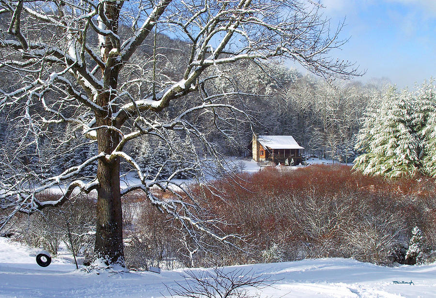 Winter Tree and Cabin in the Valley Photograph by Duane McCullough