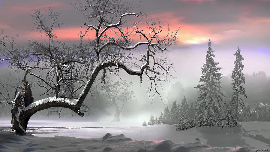 Tree Photograph - Winter Trees by Igor Zenin Tree Photograph - Winter Trees by Igor Zenin