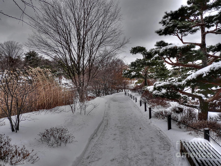 Winter walk in the garden Photograph by David Bearden