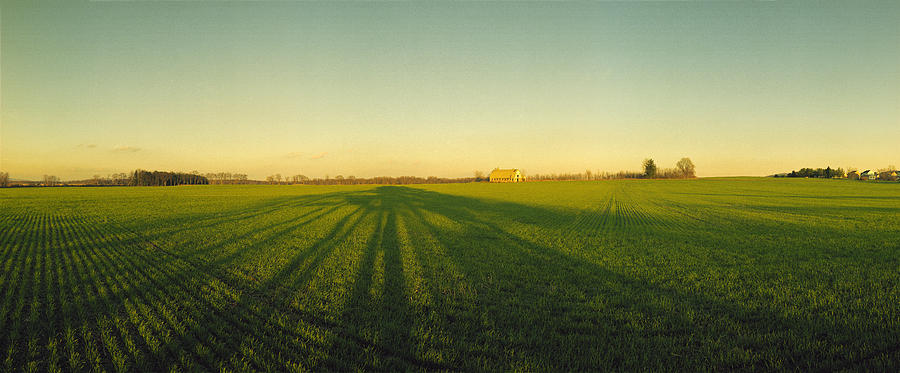 Winter Wheat on the shortest day Photograph by Jan W Faul