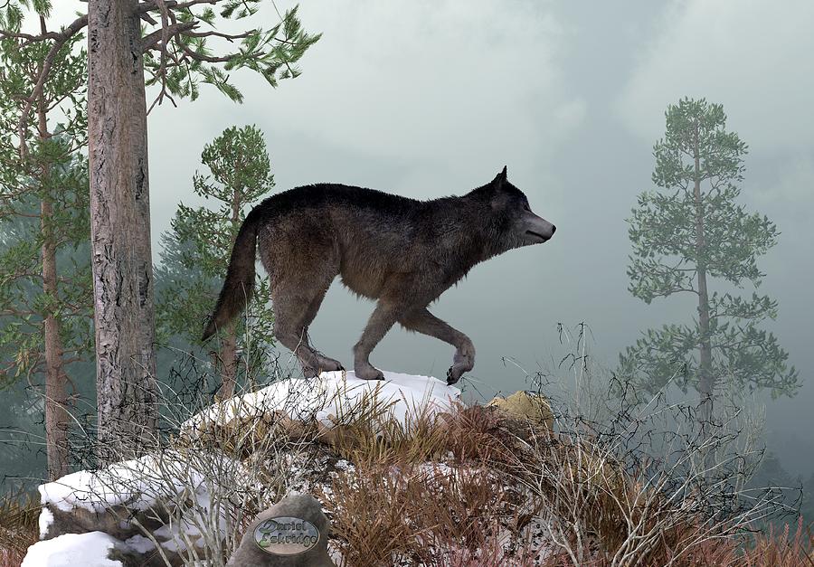 Winter Wolf Digital Art by Daniel Eskridge