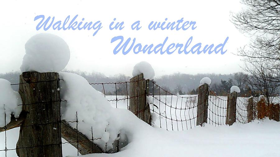 Winter Wonderland Photograph by Cyryn Fyrcyd