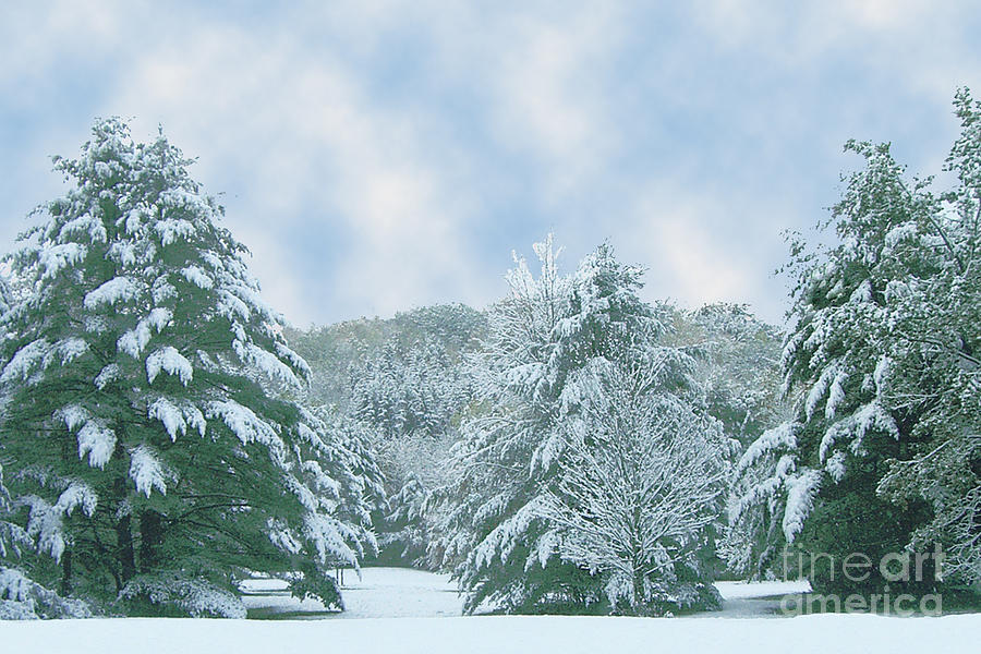 Winter Wonderland in the South Photograph by Michael Waters Winter Wonderland in the South Photograph by Michael Waters