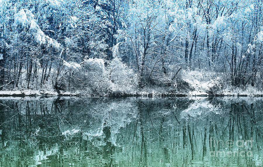 Winter Wonderland Photograph by Jutta Maria Pusl