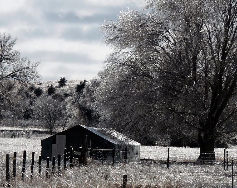 Winter Wonderland Photograph by Terry Eve Tanner