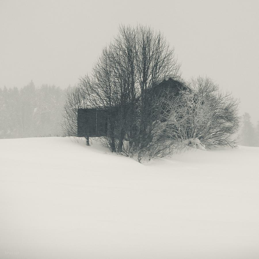 Winter World #2 Photograph by Nikolay Krusser Winter World #2 Photograph by Nikolay Krusser