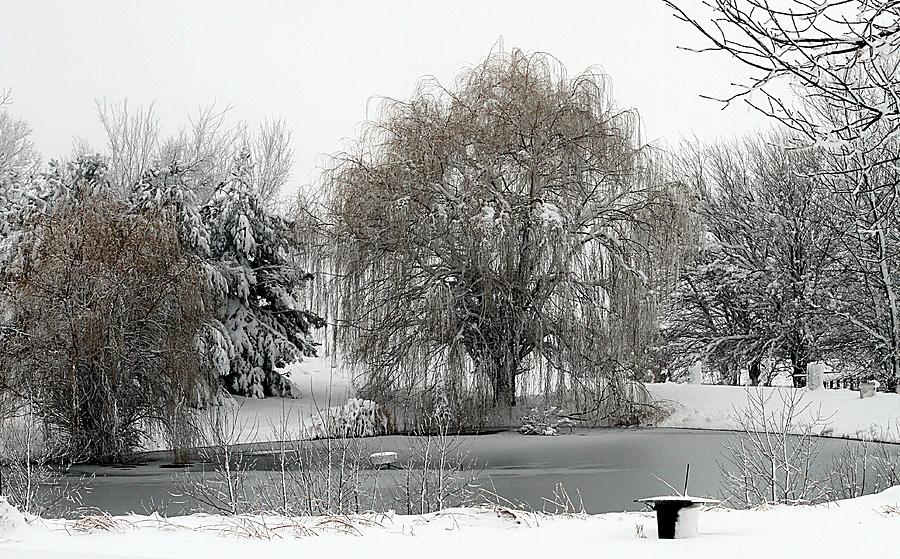 Winters Pond Photograph by Elizabeth Winter