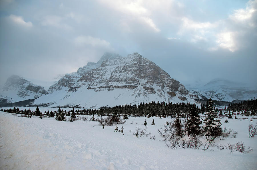Wintery Scene in the Rockies Photograph by Terry Dadswell