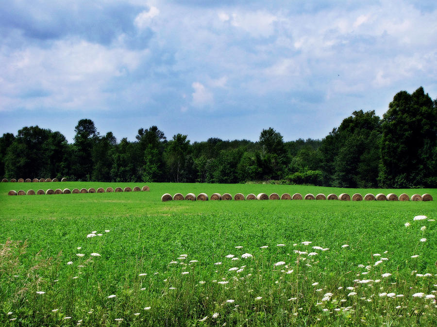 Wisconsin Hay Field Photograph by Ms Judi