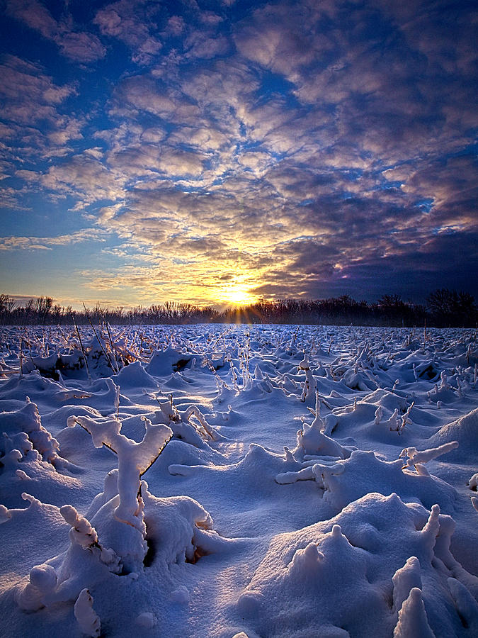 Landscape Photograph - Wisconsins Winter Wonderland by Phil Koch